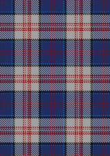 Stewart_of_Appin_Hunting_Dress_Tartan_Fabric_481