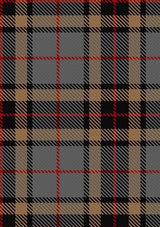 Thompson_Thomson_MacTavish_special_grey_Tartan_Fabric_325