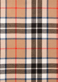 Thomson_Tartan_Fabric