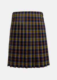 Traditional_Dublin_County_Crest_Range_7452_kilt_back_image_with_pleated_design_and_adjustable_buckles_for_men