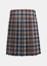 Traditional_Gayre_Arisaidh_Tartan_176_kilt_back_image_with_pleated_design_and_adjustable_buckles_for_men