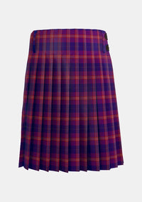 Traditional_Gill__Anil_Tartan_kilt_11496_back_image_with_pleated_design_and_adjustable_buckles_for_men