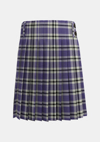 Traditional_Hanna_Bible_Personal_Tartan_619_kilt_back_image_with_pleated_design_and_adjustable_buckles_for_men