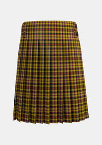 Traditional_Jardine_of_Castlemilk_Tartan_1431_kilt_back_image_with_pleated_design_and_adjustable_buckles_for_men