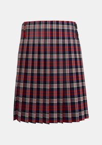 Traditional_MacDonald_Dress_Irish_Tartan_3272_kilt_back_image_with_pleated_design_and_adjustable_buckles_for_men