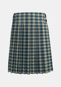 Traditional_MacMugen_Personal_Tartan_2657_kilt_back_image_with_pleated_design_and_adjustable_buckles_for_men