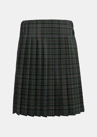 Traditional_Patterson_Robert_Family_Tartan_14997_kilt_back_image_with_pleated_design_and_adjustable_buckles_for_men