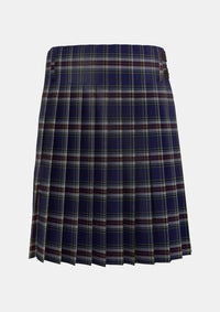 Traditional_Spirit_of_Loch_Tay_Tartan_kilt_13610_back_image_with_pleated_design_and_adjustable_buckles_for_men