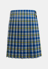 Traditional_Ukraine_Forever_Tartan_kilt_13468_back_image_with_pleated_design_and_adjustable_buckles_for_men