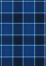 US_Navy_Tartan_Fabric