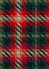 Vegan_Tartan_Fabric_12519
