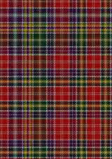 Waggrall_Tartan_Fabric_1691