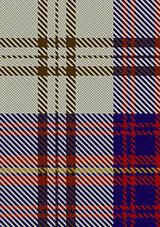 Walker_Dress_Tartan_Fabric_2070