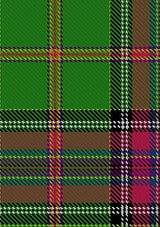 Whyte_John_Family_Tartan_Fabric_14359