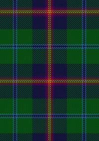 Young Tartan Fabric