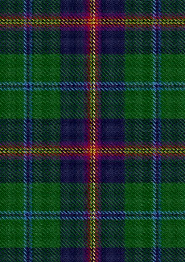 Young Tartan Fabric