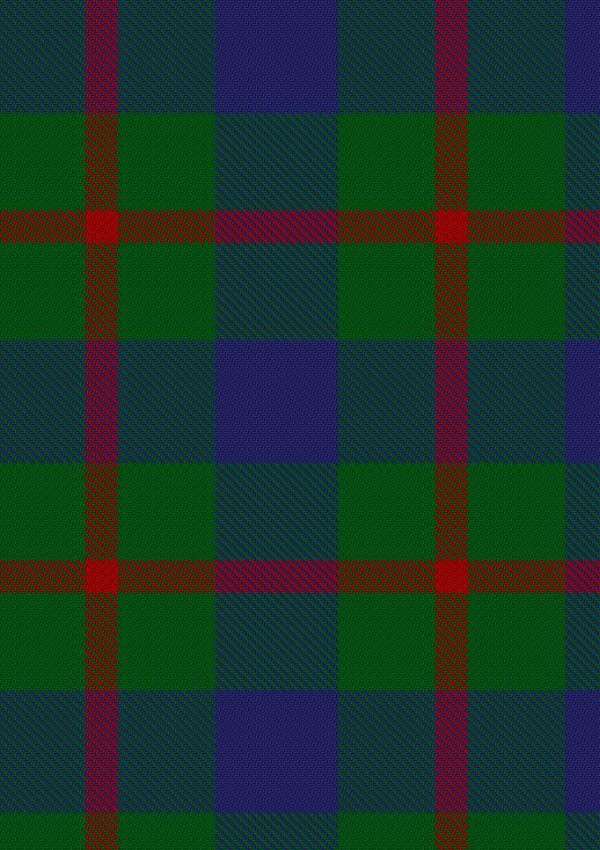 Agnew Tartan Fabric