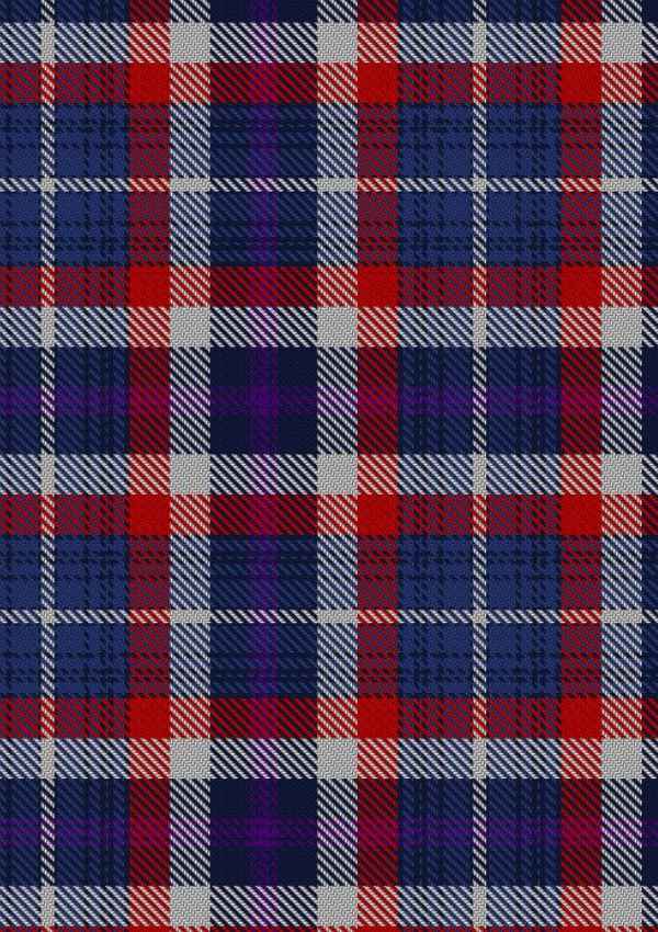 Auld Alliance Tartan 