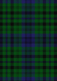 bailey-mist-tartan-fabric