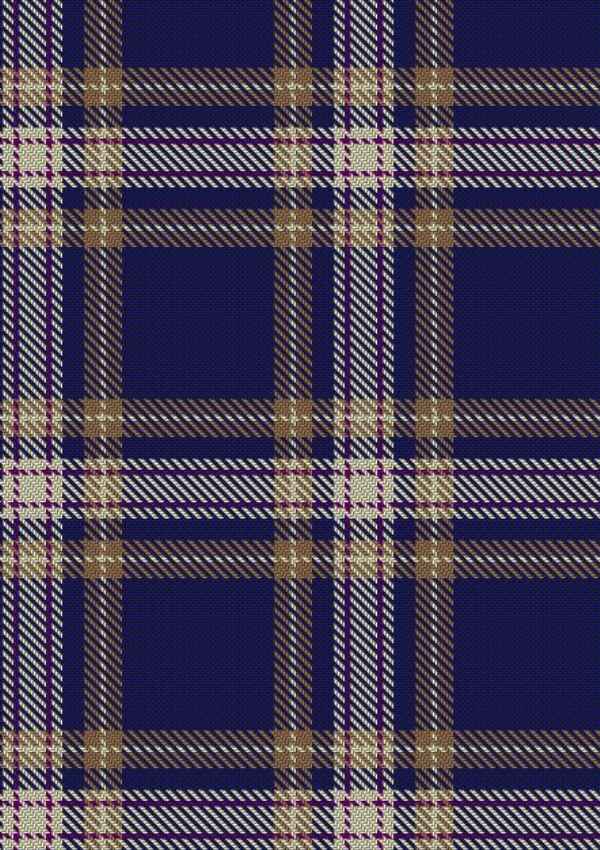 Baker Tartan Fabric