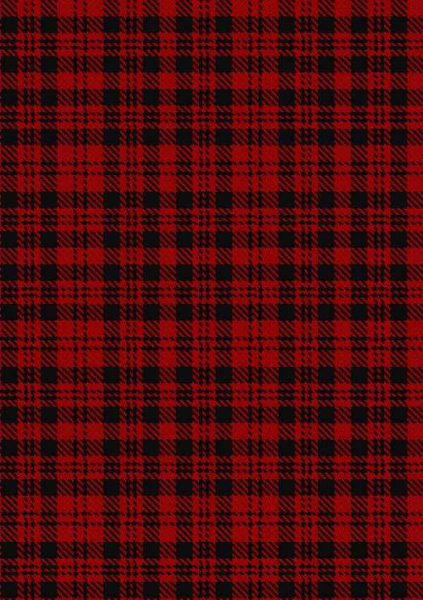 Border Reiver The Tartan Fabric