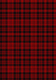 Border Reiver The Tartan Fabric