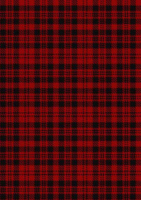 Border Reiver The Tartan Fabric