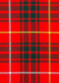 Bruce Modern Tartan Fabric