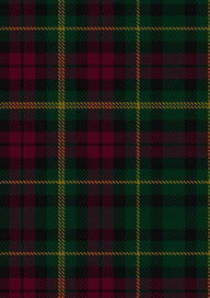 Burns Heritage Tartan Fabric