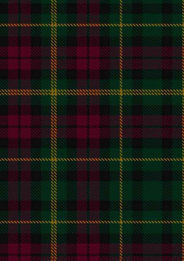 Burns Heritage Tartan Fabric