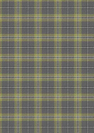 Cairngorm Tartan Fabric