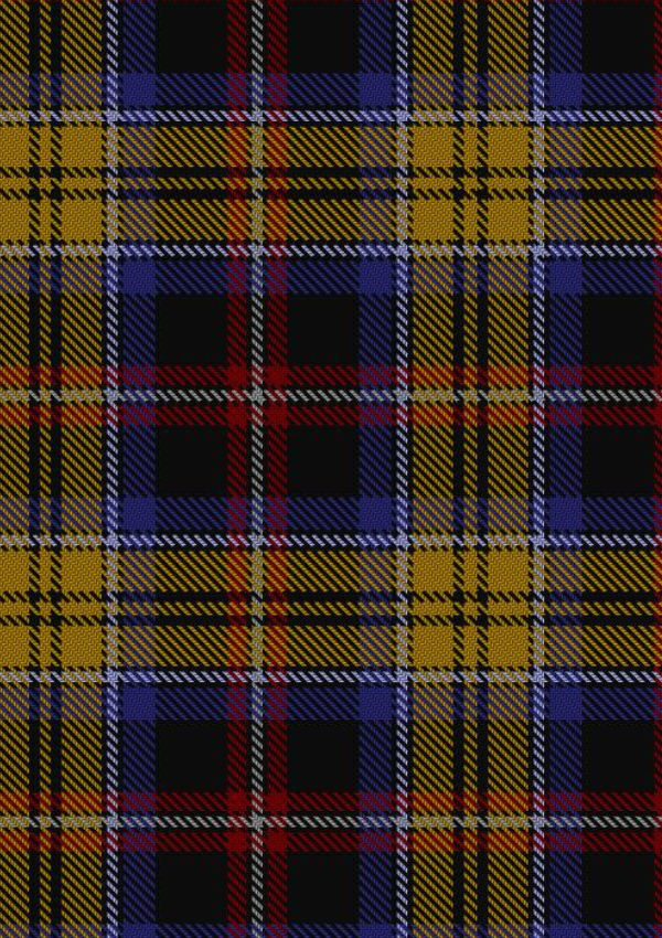  Dublin County Crest Range Tartan Fabric