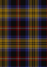  Dublin County Crest Range Tartan Fabric