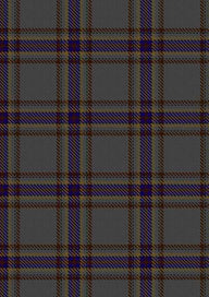  Fermanagh Tartan Fabric