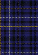fleming-tartan-fabric