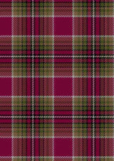 gardner-lynne-michele-tartan