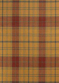 Glen Affric Tartan Fabric