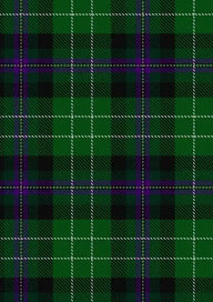 Hibs Tartan Fabric