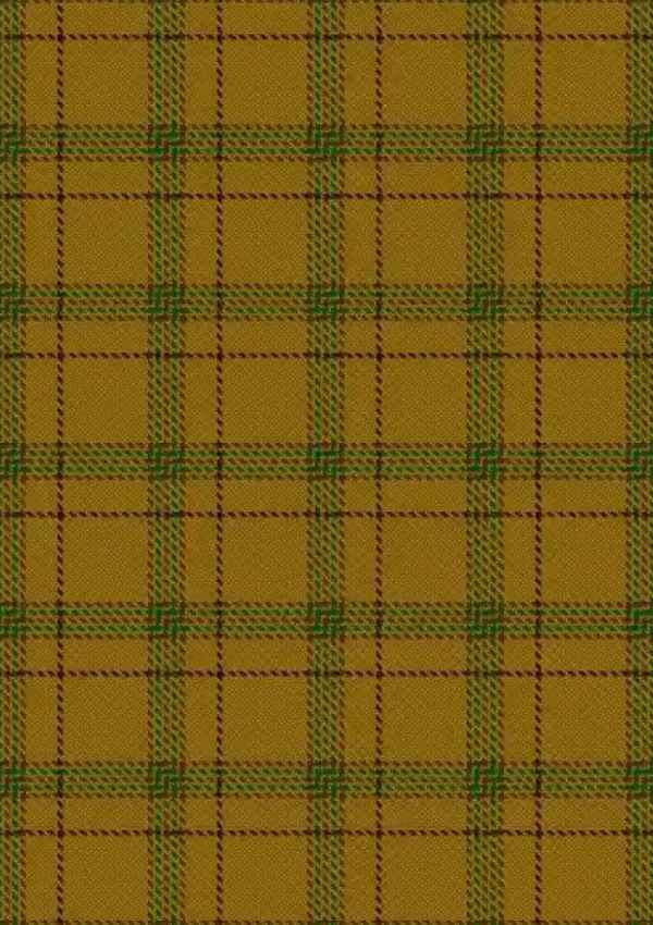 Houston Tartan Fabric