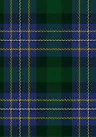 Hughes Tartan Fabric