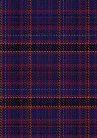 James Of Wales Tartan Fabric