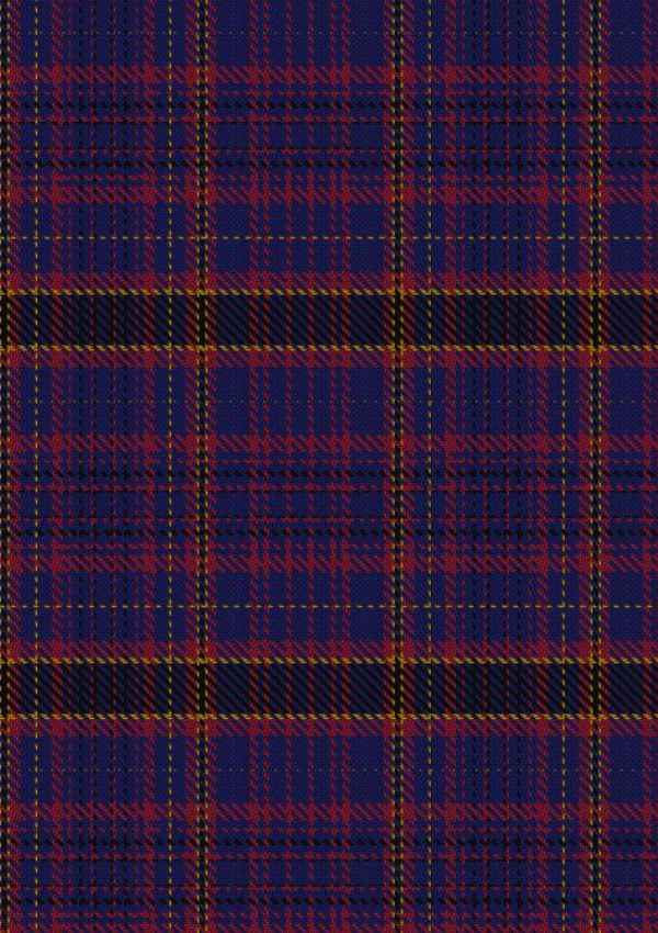 James Of Wales Tartan Fabric