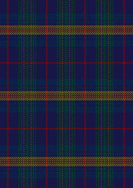 Jenkins Of Wales Tartan Fabric