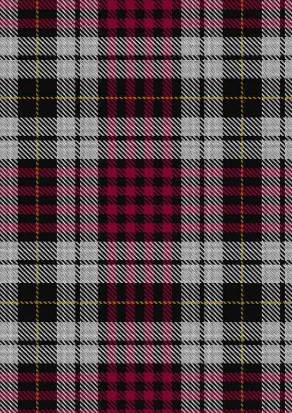  Little Dress Tartan Fabric