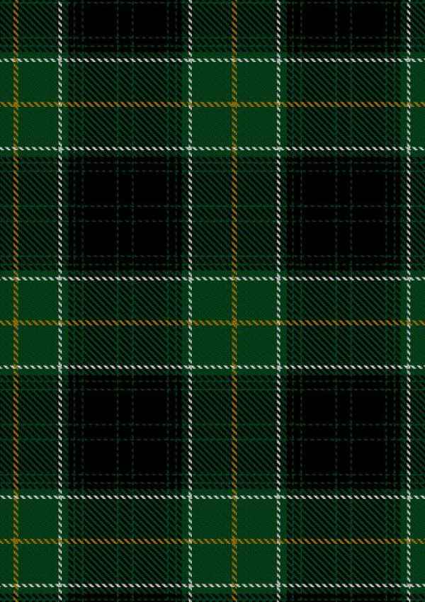  Malone Tartan Fabric