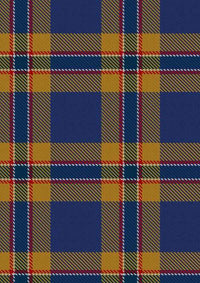  McCann Tartan 