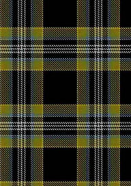 McIntyre Collegium Tartan Fabric