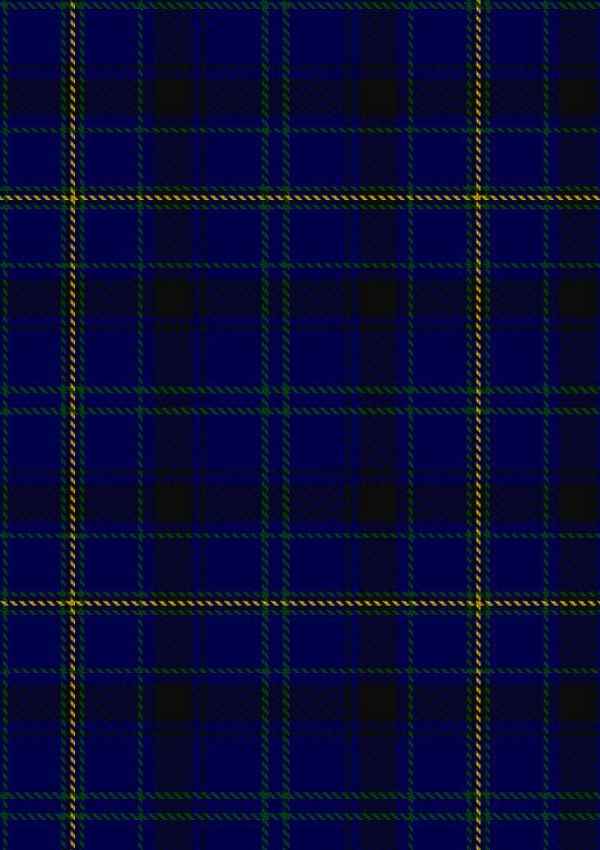  Moon Tartan Fabric