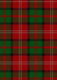 Nisbet Tartan Fabric