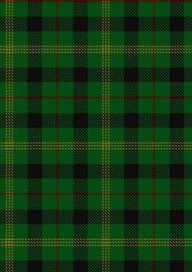 Paton Tartan Fabric